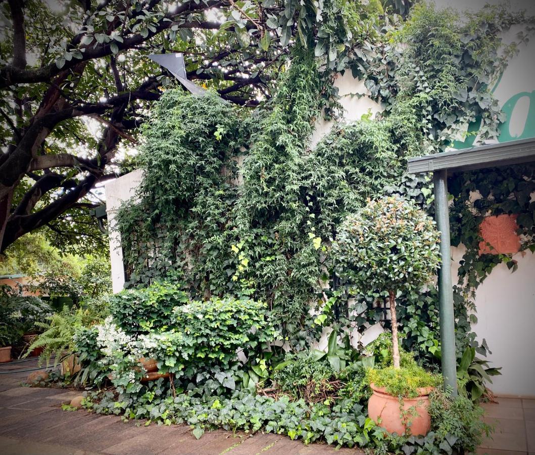 La Bella B&B Under The Fig Tree Bela-Bela Exterior photo
